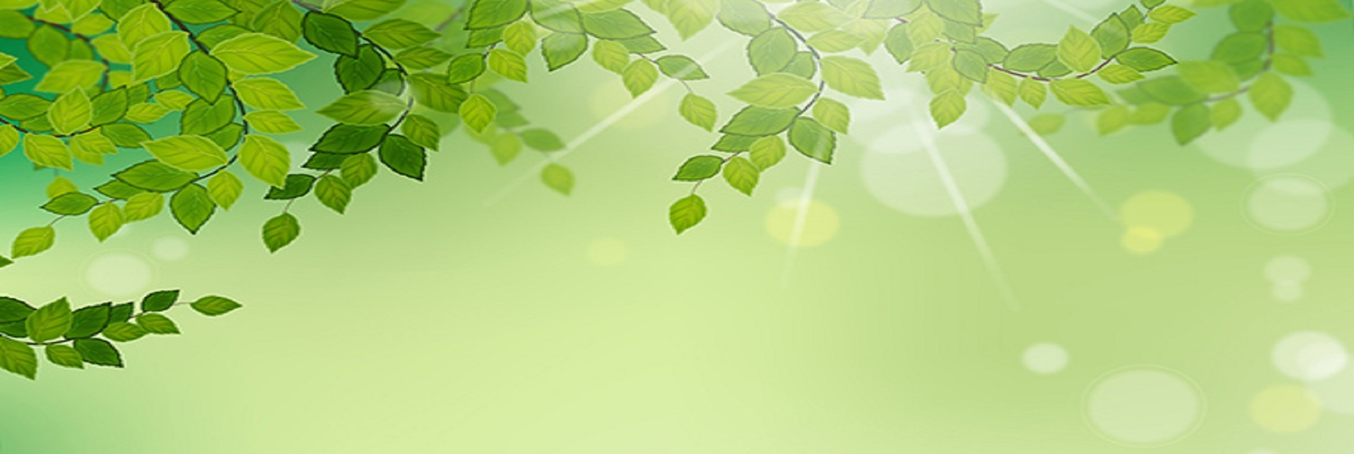 baner.jpg